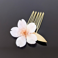 【受注制作】Everpink. 本物のお花　こだわりの花びらで仕上げる桜とゴールドリーフの髪飾り　かんざし/ヘアコーム 1枚目の画像