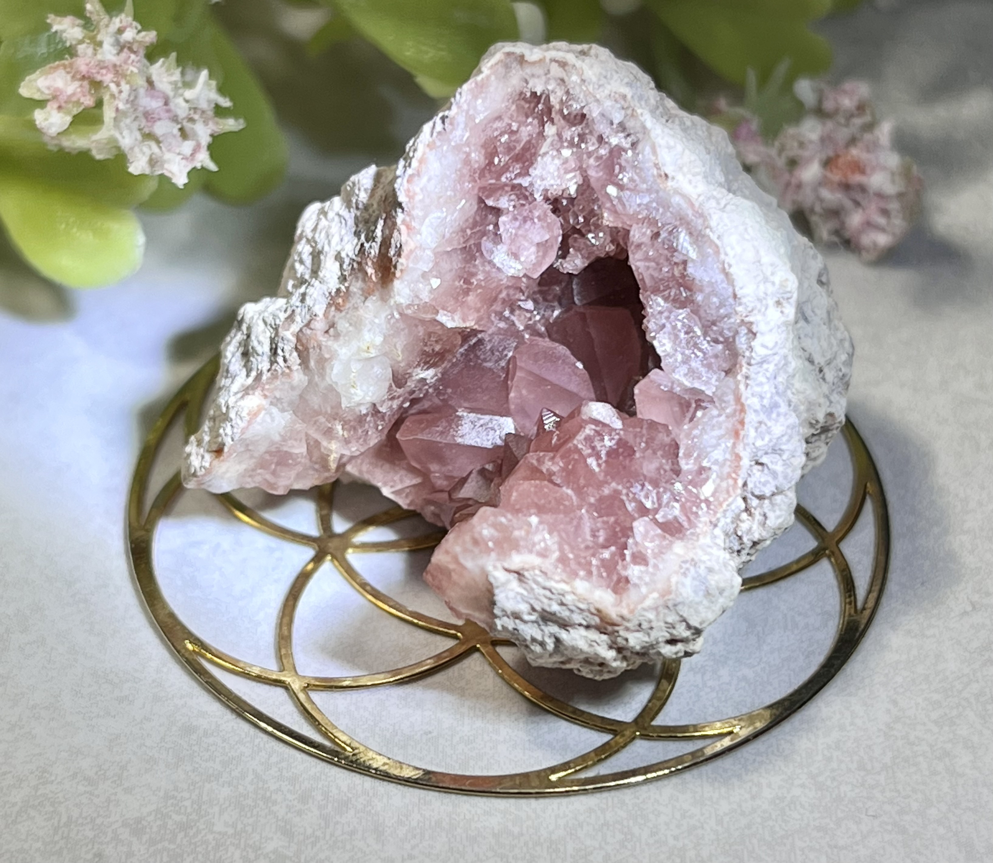 希少】 ピンクアメジスト✨ クラスター ラフストーン 原石 ジオード