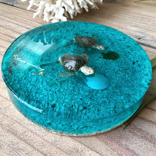 ダブルホヌのペーパーウェイト ペーパーウェイト 文鎮 ホヌ カメ 南国