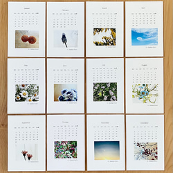 ～*福袋*～ 冬のホワイトリースと2024 お花のカレンダーのセット 9枚目の画像