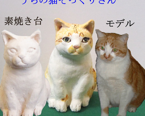 【あす楽対応】 29db4664b9558e8e5e63dcdc3faa2d その他
