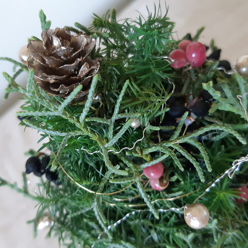 省スペースクリスマス2024 高さ13cmミニX'masツリー 香るフレッシュ