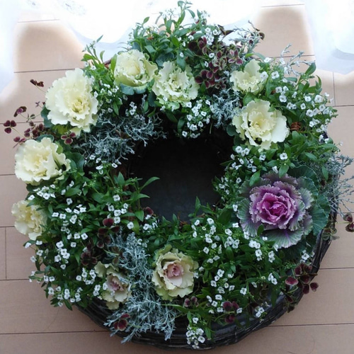 寄せ植え　ハボタン　冬　リース仕立て (スタンド付)　葉牡丹　ハンギングリース 寄せ植えハボタン冬リース仕立て (スタンド付)葉牡丹ハンギング