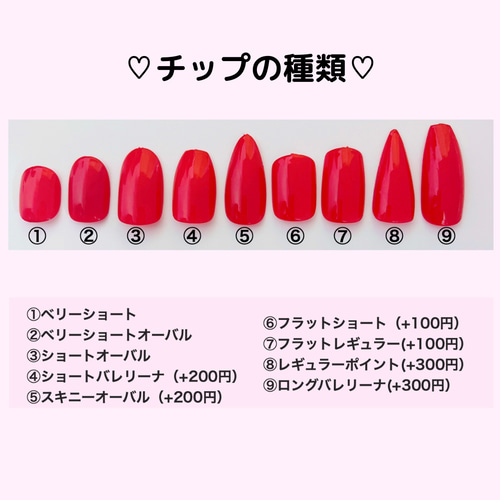 ネイルチップ 【No.13】 ネイルチップ（つけ爪） -Omasi- 通販