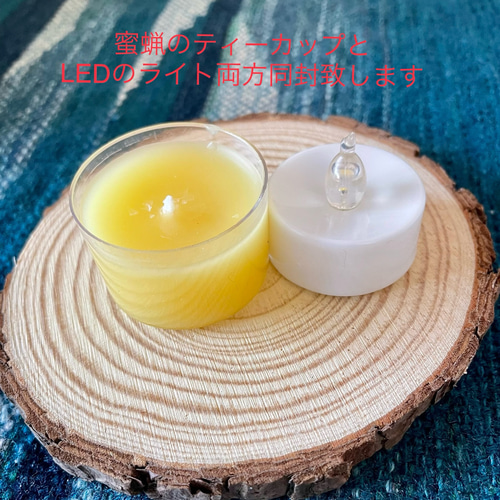 ボタニカルジェルキャンドルホルダー＊ミモザ/蜜蝋ティーカップ