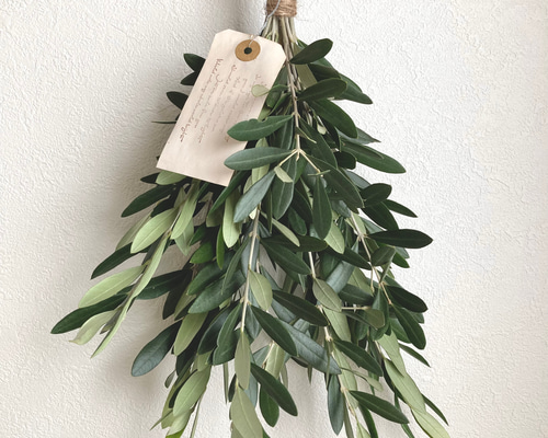 116e67839e3fc4d8318a005a2d85f1