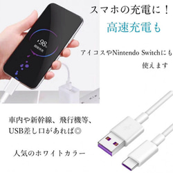 タイプC USB ケーブル 1m 5A超急速充電 任天堂スイッチ 2枚目の画像