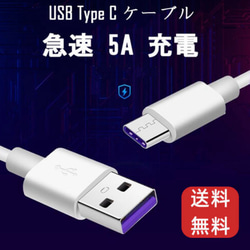 タイプC USB ケーブル 1m 5A超急速充電 任天堂スイッチ 1枚目の画像