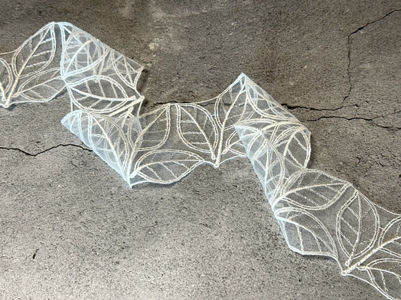  第5張的照片