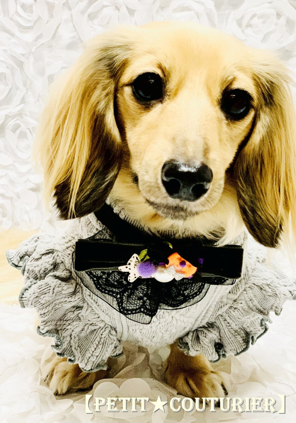 ハンドメイド　オーダー受付ページ　　♡ハロウィンわんこ　パネル♡ 顔出しパネル ハロウィンパンプキンパネル - IWAI NO NIWA