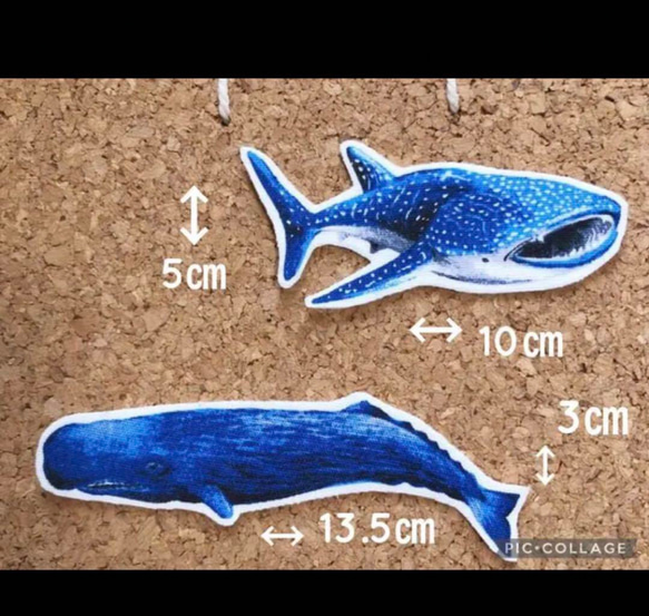 ループ付きネームワッペン　海の生き物　クジラ　サメ　ワッペン　アイロンワッペン  ネームワッペン 6枚目の画像