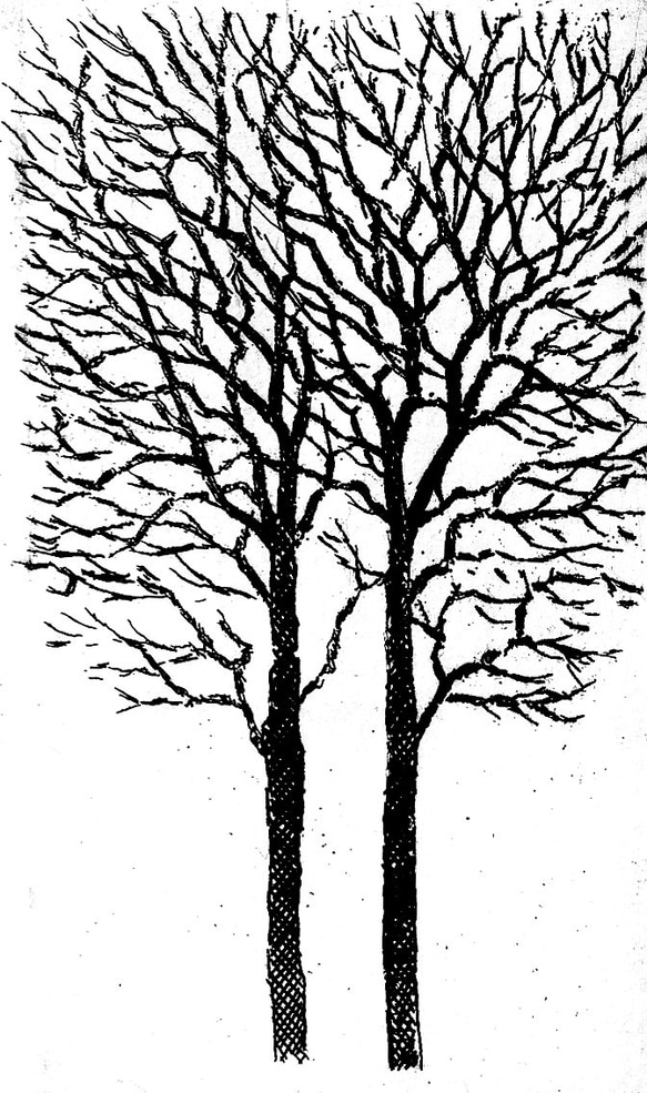 二本の樹・2023/銅版画（作品のみ） 1枚目の画像