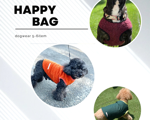 わんちゃんお洋服のハッピーバッグ♪ お得な福袋！ ドッグウェア 犬服