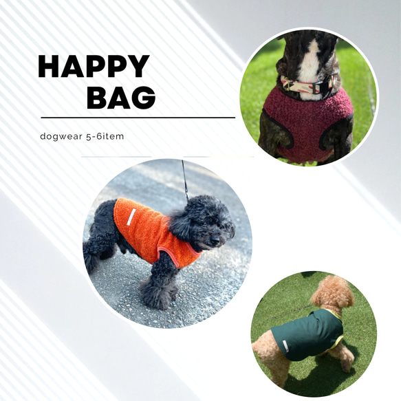 犬　フィギュア　わんちゃん　ディオール袋 犬 フィギュア わんちゃん ディオール袋 41jrNIlvYVL.jpg_BO30