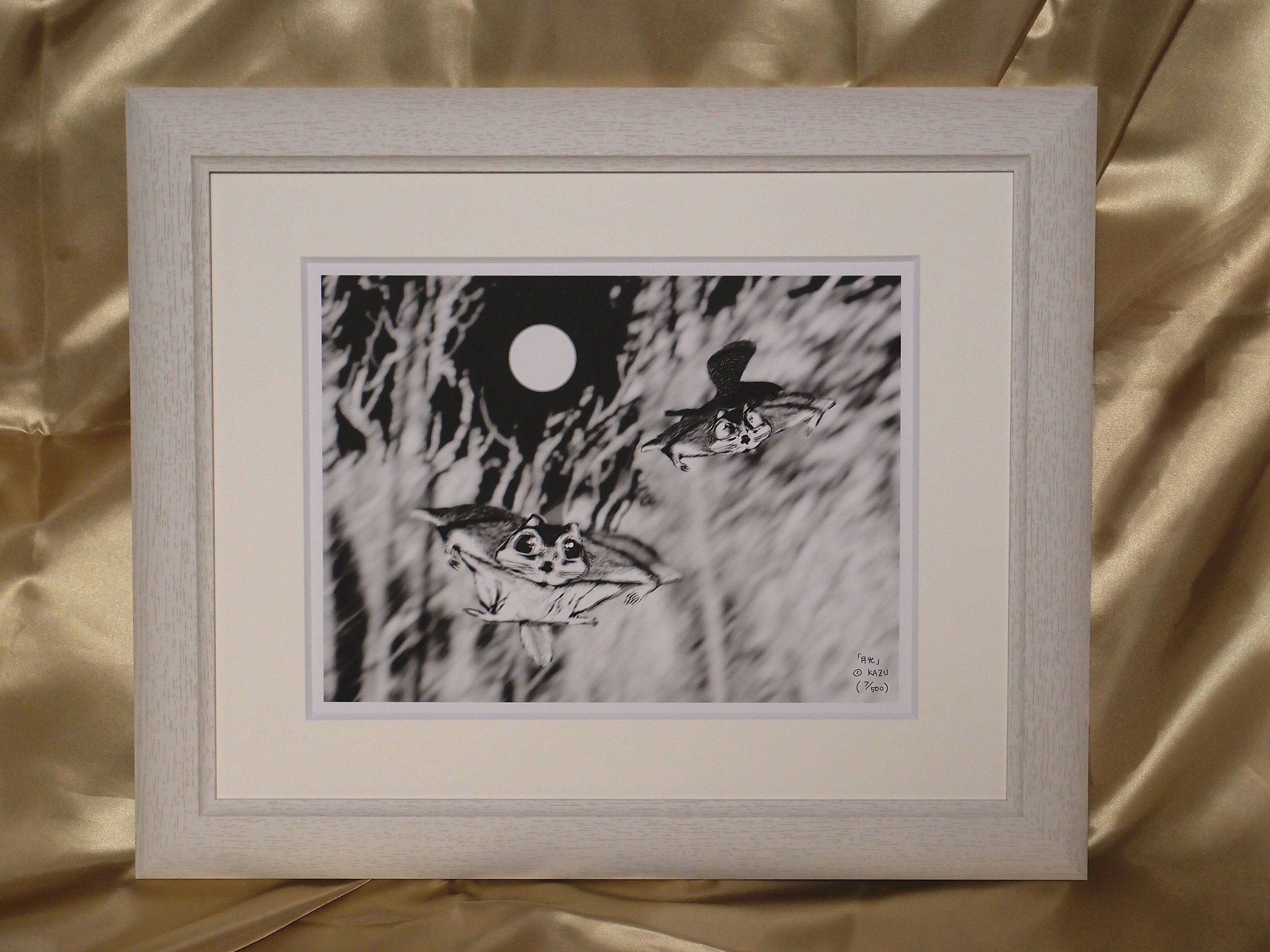 月光（ももんが）