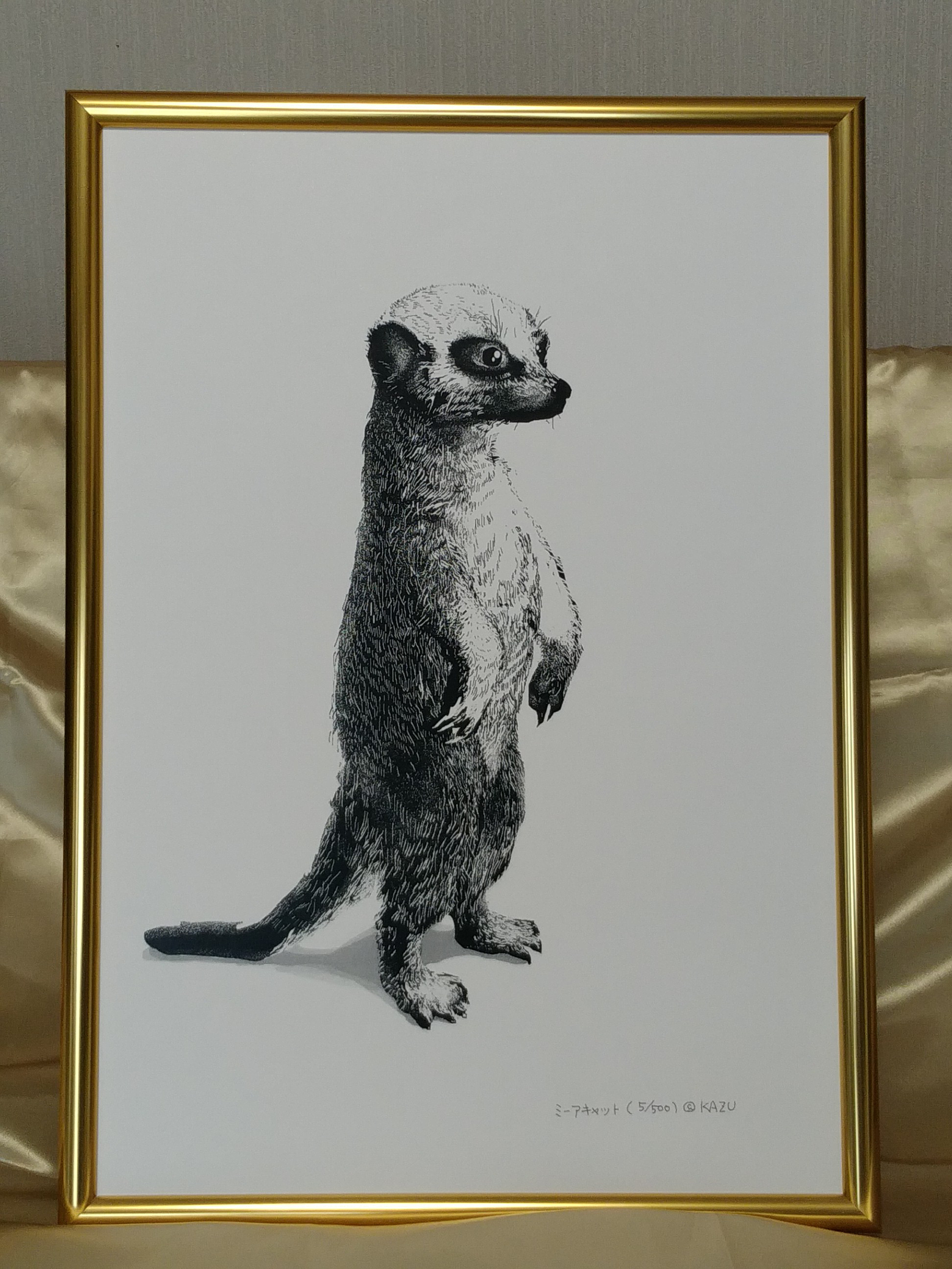 ミーアキャット