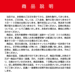 蓄光 反射 ふくろう フクロウ キーホルダー 縁起物 交通安全 両面 ふくろう(大) ラッキー チャーム 蛍光グリーン 4枚目の画像