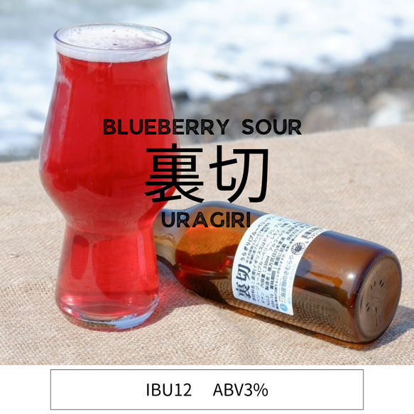 【☆限定価格☆】鳥取県のクラフトビール詰め合わせ♪6本内容お任せセット！(330ml×6本） 8枚目の画像