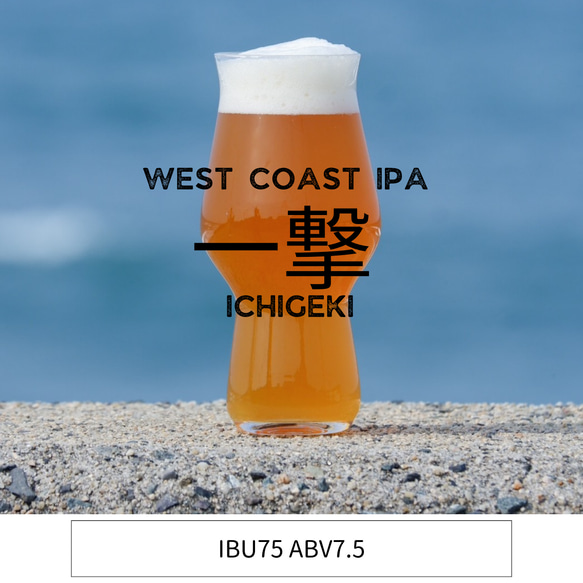 【☆限定価格☆】鳥取県のクラフトビール詰め合わせ♪6本内容お任せセット！(330ml×6本） 6枚目の画像