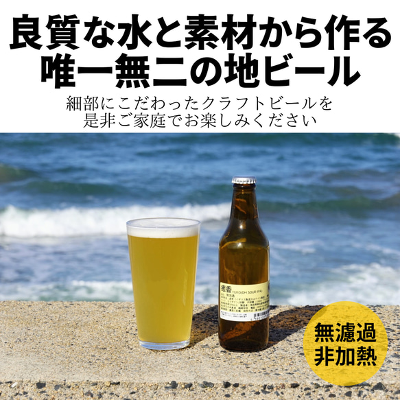 【☆限定価格☆】鳥取県のクラフトビール詰め合わせ♪6本内容お任せセット！(330ml×6本） 2枚目の画像