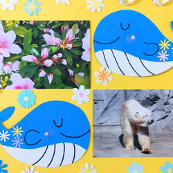 ★ラミネート　色紙　　壁面　アルバム　飾り　～想い合う花クジラさん～　花　クジラ　かわいい 2枚目の画像