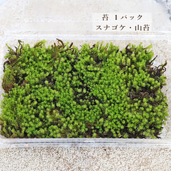 e5558135973ac5a75654ffb4cd5867