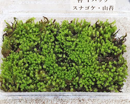 e5558135973ac5a75654ffb4cd5867