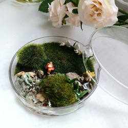 【癒し時・感】蓋付きガラスシャーレの中の小さな世界 「水辺のお昼休み」 4枚目の画像