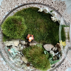 【癒し時・感】蓋付きガラスシャーレの中の小さな世界 「水辺のお昼休み」 7枚目の画像