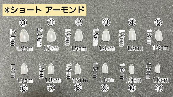 【1種類】サイズ確認用ネイルチップ 4枚目の画像