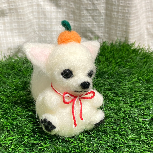 羊毛フェルト　おすましチワワ チワワ 白チワワ 羊毛フェルトチワワ お正月 羊毛フェルト doglover