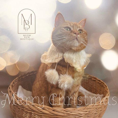 クリスマス、ファータイプ(白④)わんちゃん猫ちゃん用襟つき首輪 猫ちゃん専用の付け襟首輪 イギリスファブリックの千鳥格子 | full