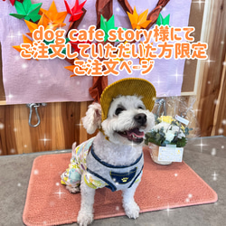 【dog cafe story様にてご注文いただいた方限定】犬用帽子ご注文ページ 1枚目の画像