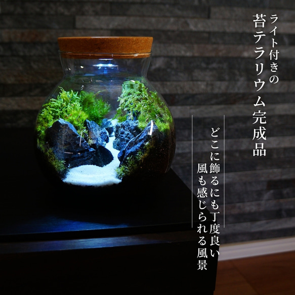 S10cm LEDライト付 ボトルテラリウム 苔テラリウム 完成品 草原に続く道 テラリウム プレゼント 木化石 8枚目の画像