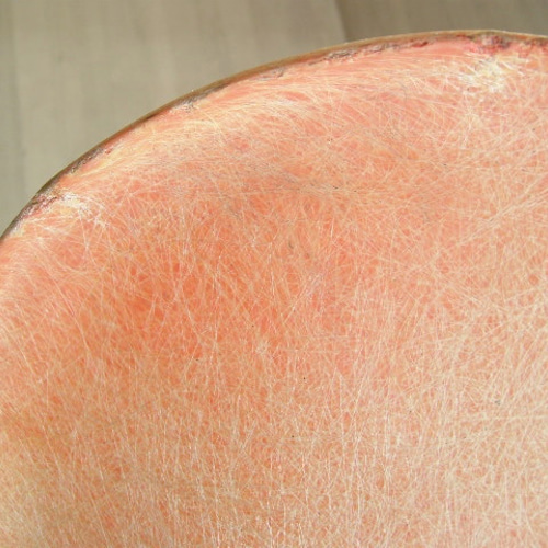 □　イームズ 　アーム　シェル　ゼニス　・　ビックマウント Ｘ　ベース　□ 1950's ZENITH社製 1st Model イームズ Xベース アームシェル