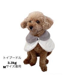 犬猫用 ダウン風ケープコートボア襟(薄ベージュ)モーヴリボン 犬服 6枚目の画像