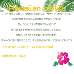 ハワイアン　ポチ袋　（ハイビスカス）３枚セット　／　海　お車代　ポチ袋　お祝　お年玉　お礼 6枚目の画像