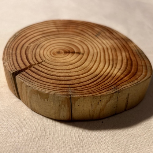 こりすまま　円形プレート　6点　ハンドメイド　木工 年輪プレート スギ S [005] その他インテリア雑貨 Kinomichi工房 通販