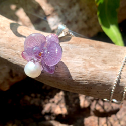 項鍊 蝴蝶蘭 樹脂 珍珠 蘭花 銀飾 禮物 禮盒 第3張的照片