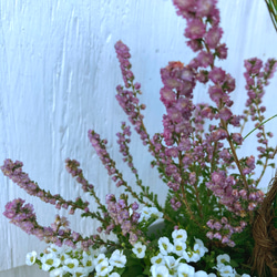 一点物【お正月】紅白葉牡丹の洋風門松／寄せ植え　ガーデニング 5枚目の画像