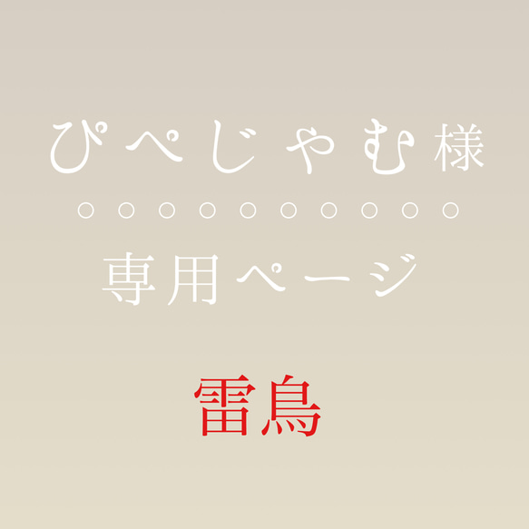 【ぴぺじゃむ様専用】雷鳥のイヤリング 1枚目の画像