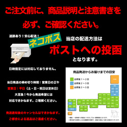 【約10g（約98-100個）入り】約4mm 両穴 ガラスパール ビーズ /bp227 5枚目の画像