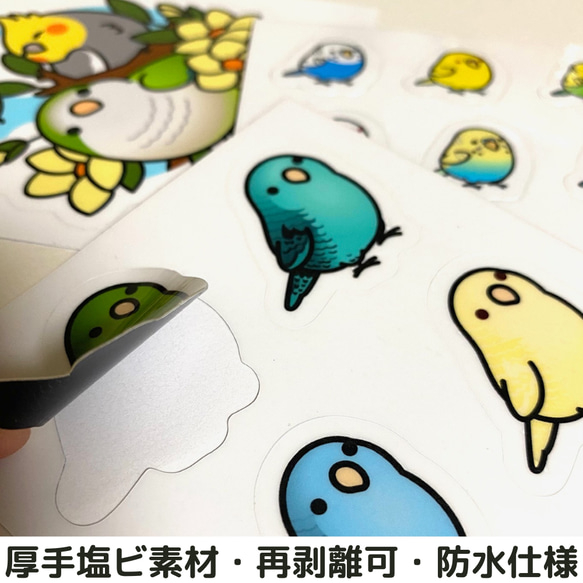 防水仕様 ウロコインコ ステッカー PVC厚手素材  貼り直し可 ミニサイズ  Chubby Bird 2枚目の画像