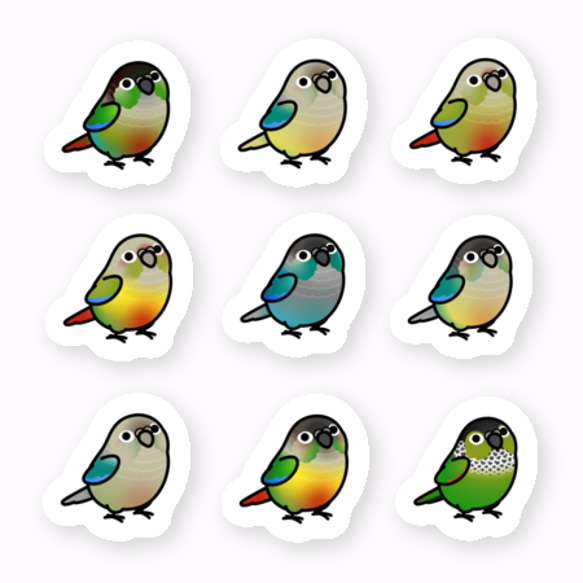 防水仕様 ウロコインコ ステッカー PVC厚手素材  貼り直し可 ミニサイズ  Chubby Bird 1枚目の画像