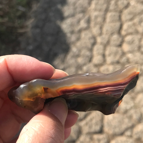 ゴビ石−1187 ゴビ瑪瑙 原石