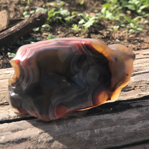 ゴビ石−1187 ゴビ瑪瑙 原石