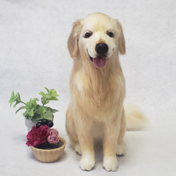 羊毛フェルト オーダー 「リアルで可愛いワンちゃん」ダックスフント 犬 羊毛フェルト オーダー「リアルで可愛いワンちゃん(ダックス