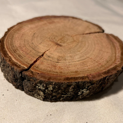 年輪プレート アカマツ 皮付き SS [044] 1枚目の画像