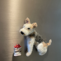 アンティーク フォックステリア　Kunstlerschutz ワグナー　犬 アンティーク フォックステリア Kunstlerschutz ワグナー 犬