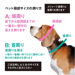 【SALE】防水チョーカー 猫 小型犬 中型犬 Biothane素材 12枚目の画像